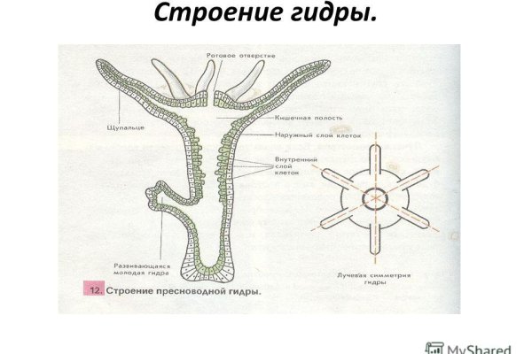 Kraken официальный сайт ссылка через tor